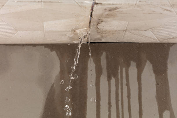 Professional Structural Drying technician working in Scurry, TX